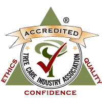 Accredited Tree Care Industry Association